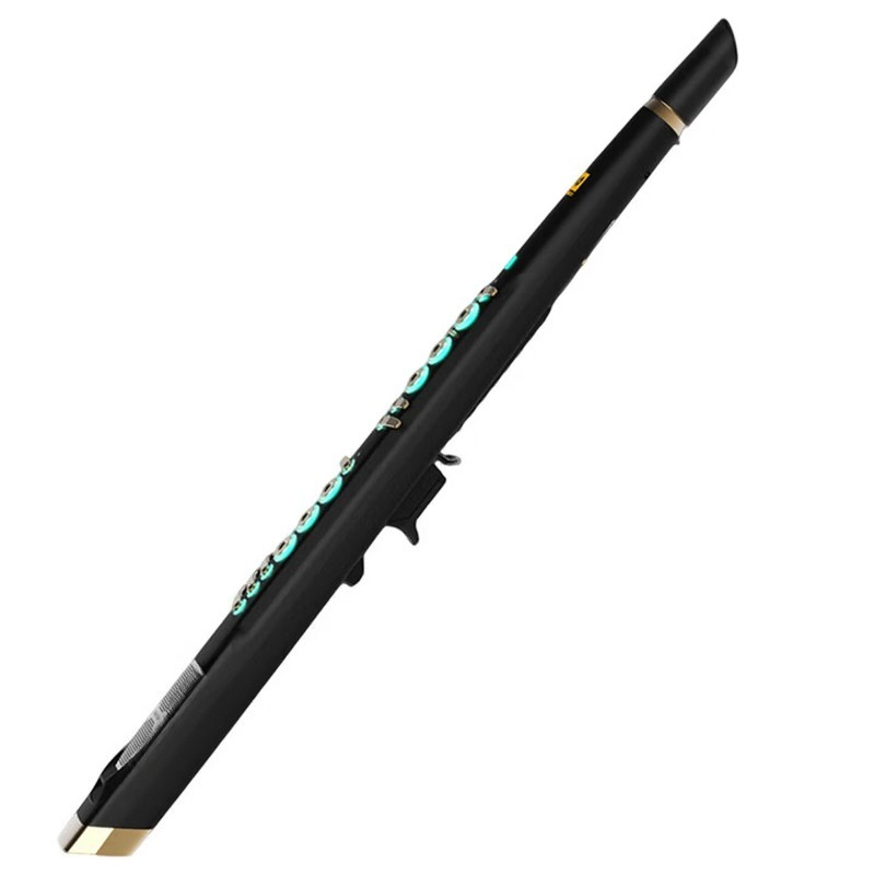 Musical Instrument You Blow - C20 True-Sampling-Instrument für den Heimgebrauch, hochwertiges