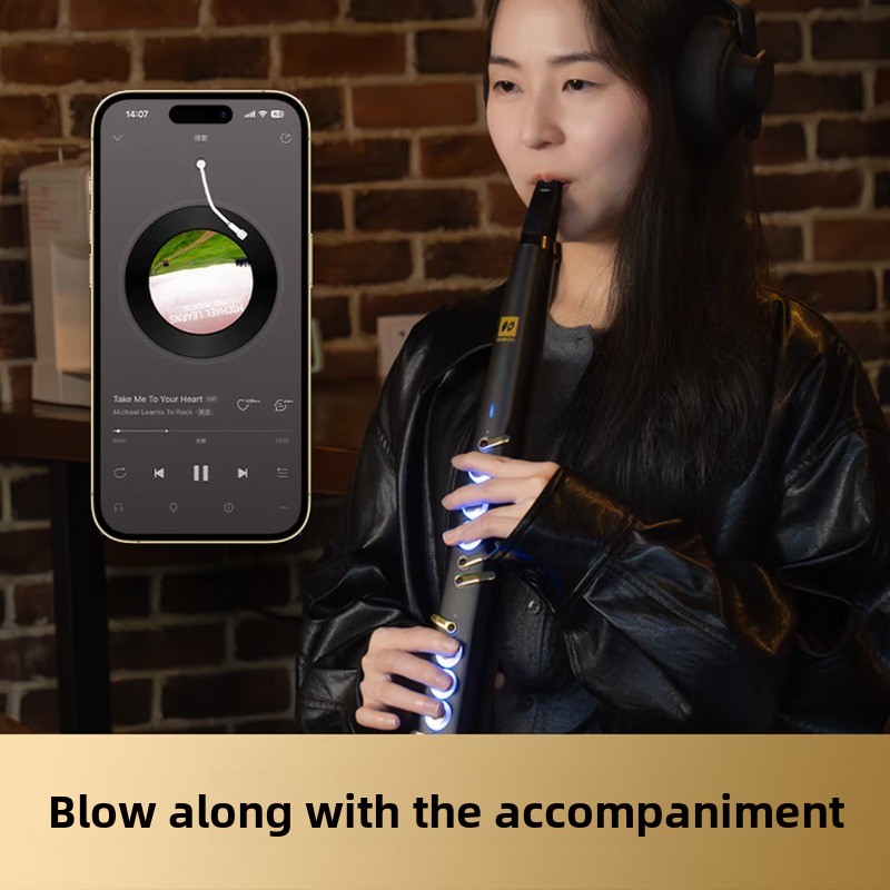 C20 True-Sampling-Instrument f – Musical Instrument You Blow Bewertung und Preis