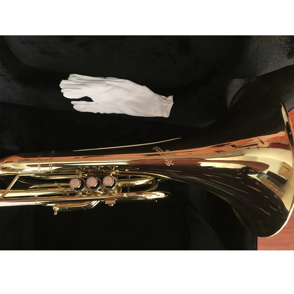Bb Goldlackiertes Marschhorn a – Musical Instrument Horn Bewertung und Preis