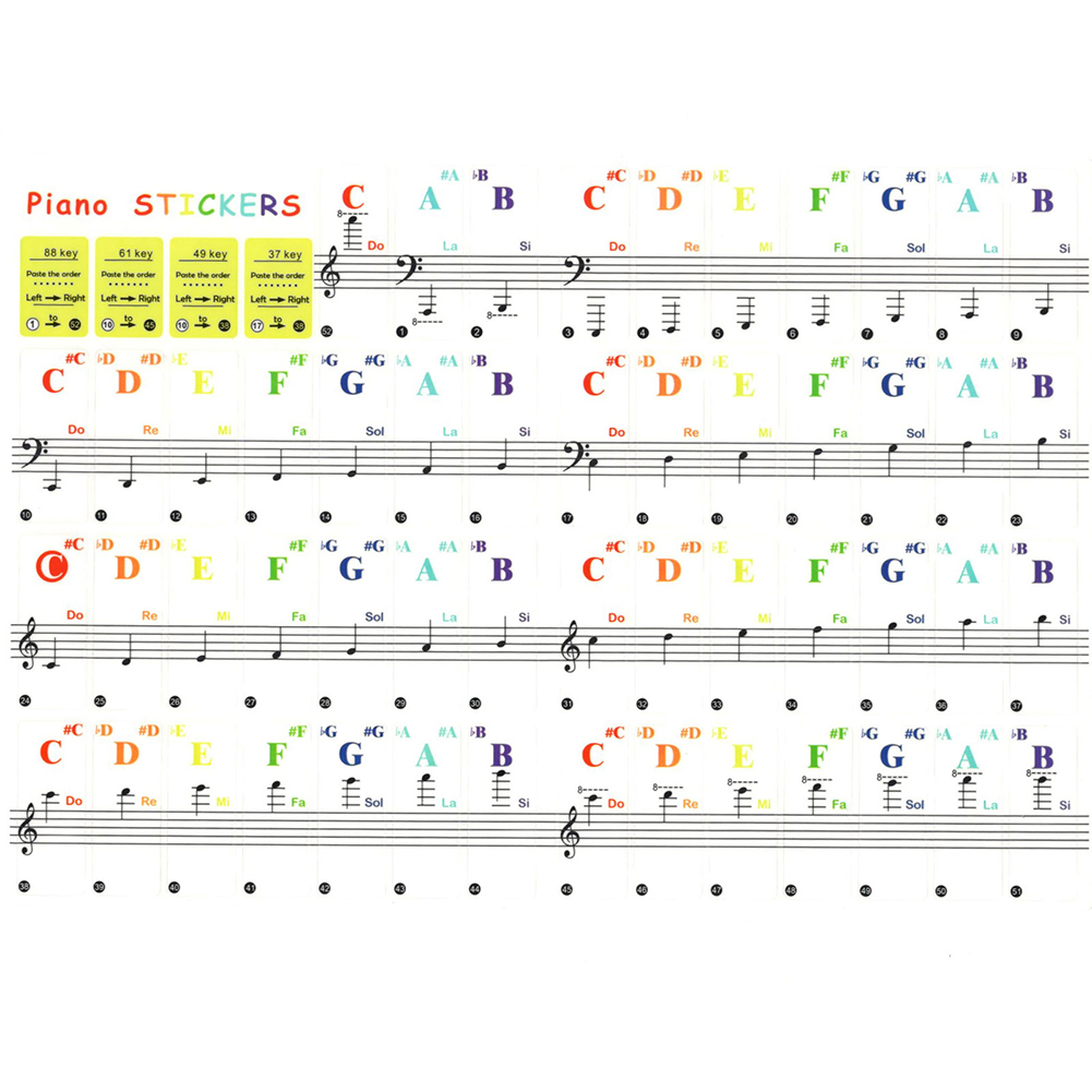 Transparente Bunte Klaviertast – Musical Instrument Tabla Bewertung und Preis