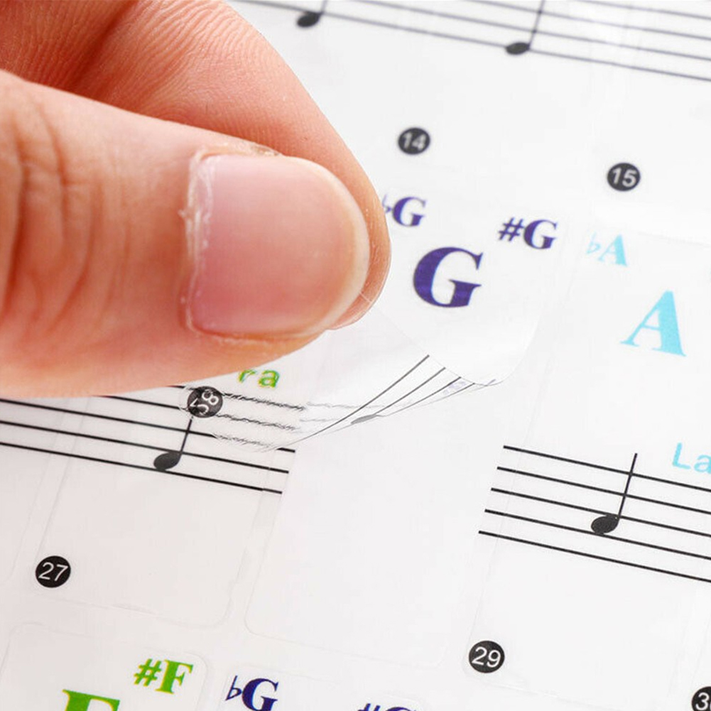 Transparente Bunte Klaviertast – Musical Instrument Tabla Bewertung und Preis