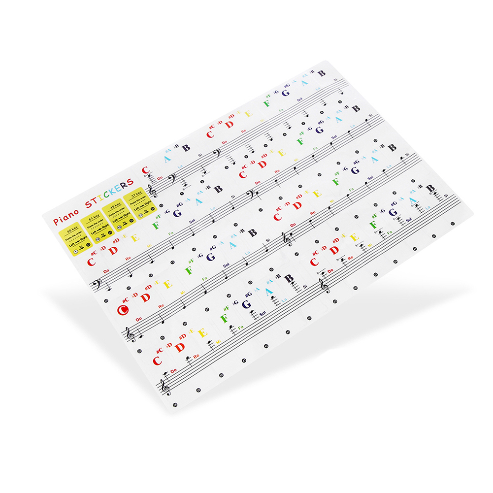 Transparente Bunte Klaviertast – Musical Instrument Tabla Bewertung und Preis