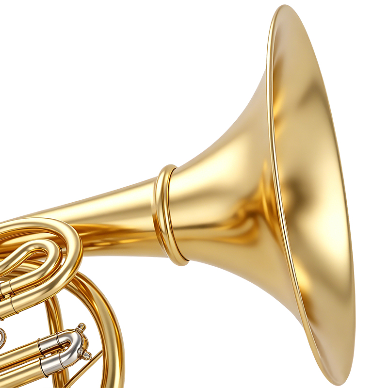 Französisches Horn mit vier Ve – Musical Instrument Horn Bewertung und Preis