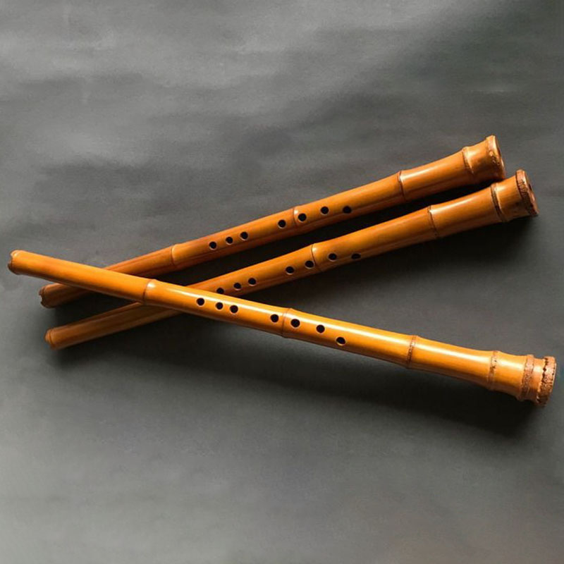 8-Loch-Bambus Xiao Performance – Musical Instrument I Play Bewertung und Preis