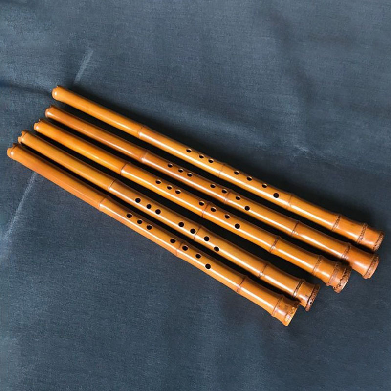 8-Loch-Bambus Xiao Performance – Musical Instrument I Play Bewertung und Preis