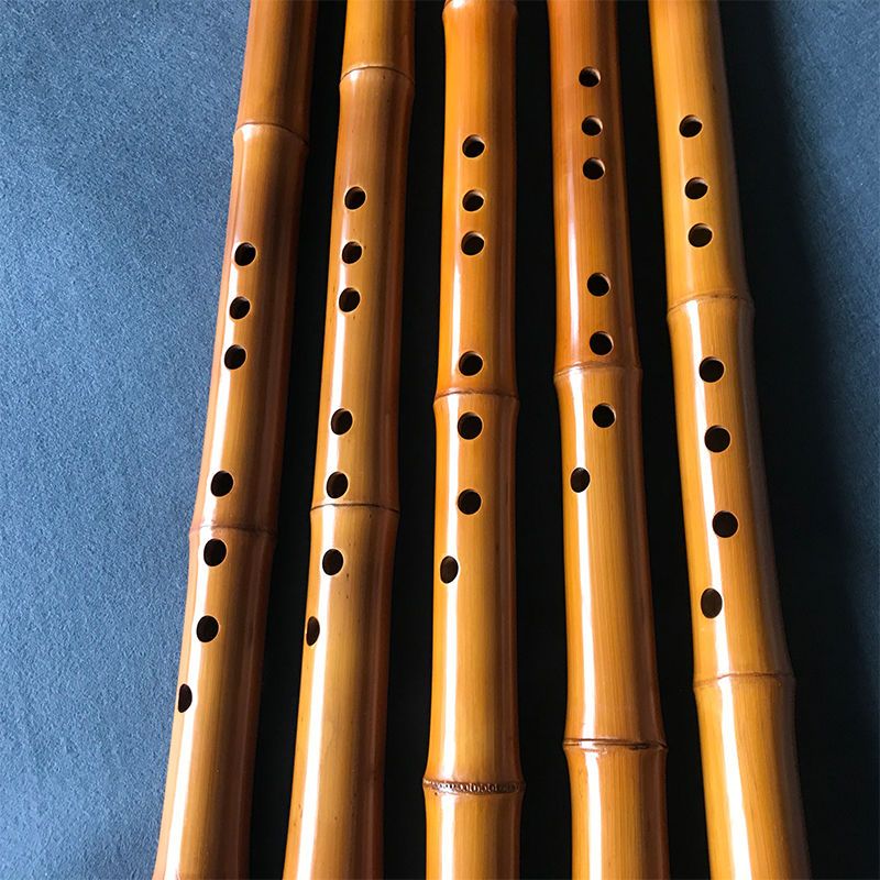 8-Loch-Bambus Xiao Performance – Musical Instrument I Play Bewertung und Preis