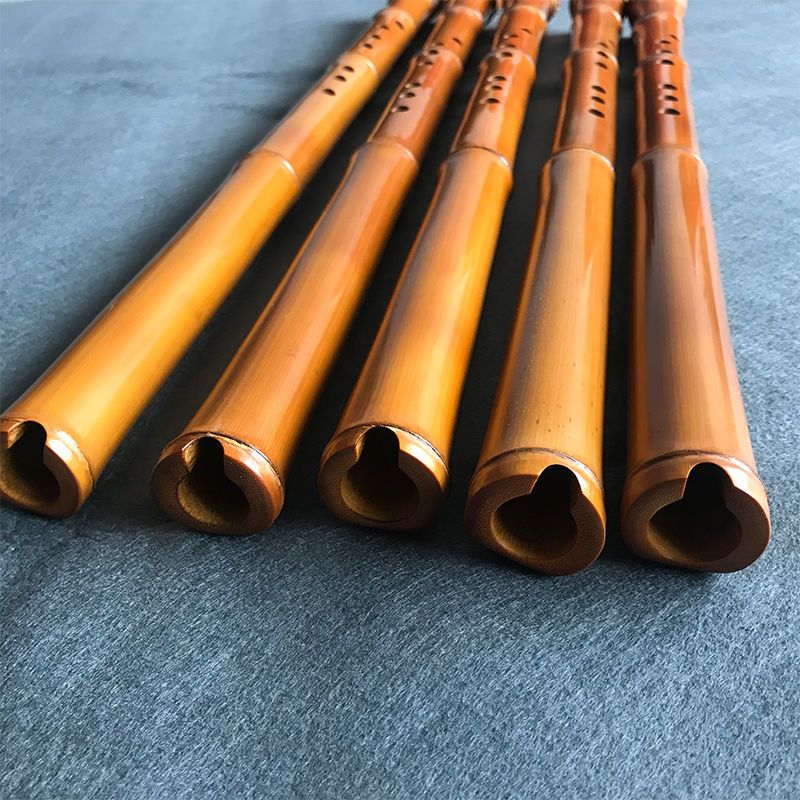 8-Loch-Bambus Xiao Performance – Musical Instrument I Play Bewertung und Preis